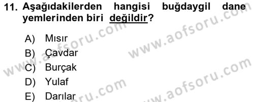 Hayvan Besleme Dersi 2016 - 2017 Yılı (Vize) Ara Sınav Soruları 11. Soru