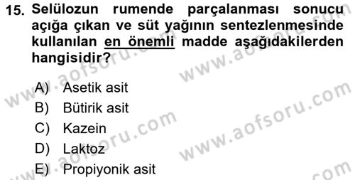 Hayvan Besleme Dersi 2016 - 2017 Yılı (Vize) Ara Sınav Soruları 15. Soru