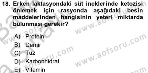 Hayvan Besleme Dersi 2016 - 2017 Yılı (Vize) Ara Sınav Soruları 18. Soru