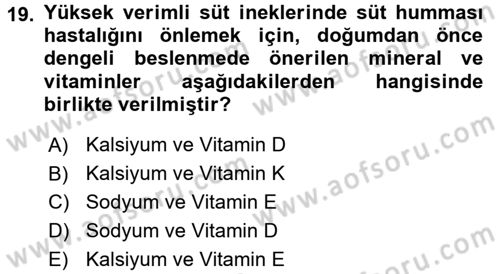 Hayvan Besleme Dersi 2016 - 2017 Yılı (Vize) Ara Sınav Soruları 19. Soru