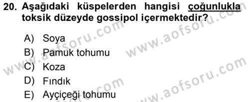 Hayvan Besleme Dersi 2016 - 2017 Yılı (Vize) Ara Sınav Soruları 20. Soru