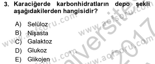 Hayvan Besleme Dersi 2016 - 2017 Yılı (Vize) Ara Sınavı 3. Soru