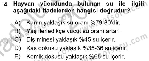 Hayvan Besleme Dersi 2016 - 2017 Yılı (Vize) Ara Sınav Soruları 4. Soru