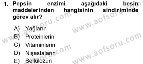 Hayvan Besleme Dersi 2016 - 2017 Yılı (Final) Dönem Sonu Sınavı 1. Soru