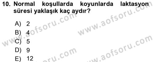 Hayvan Besleme Dersi 2016 - 2017 Yılı (Final) Dönem Sonu Sınav Soruları 10. Soru