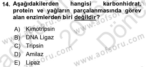 Hayvan Besleme Dersi 2016 - 2017 Yılı (Final) Dönem Sonu Sınav Soruları 14. Soru