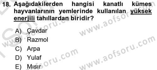Hayvan Besleme Dersi 2016 - 2017 Yılı (Final) Dönem Sonu Sınav Soruları 18. Soru