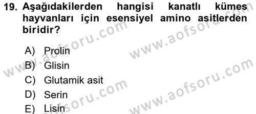 Hayvan Besleme Dersi 2016 - 2017 Yılı (Final) Dönem Sonu Sınav Soruları 19. Soru