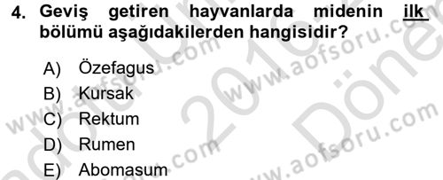 Hayvan Besleme Dersi 2016 - 2017 Yılı (Final) Dönem Sonu Sınav Soruları 4. Soru