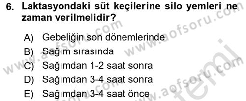 Hayvan Besleme Dersi 2016 - 2017 Yılı (Final) Dönem Sonu Sınav Soruları 6. Soru