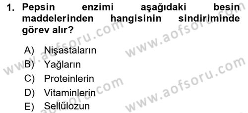Hayvan Besleme Dersi 2017 - 2018 Yılı 3 Ders Sınav Soruları 1. Soru