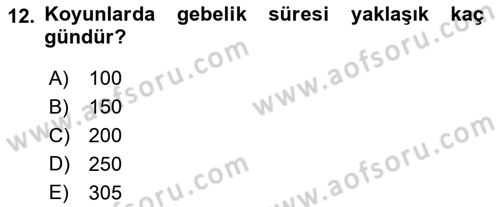 Hayvan Besleme Dersi 2017 - 2018 Yılı 3 Ders Sınav Soruları 12. Soru