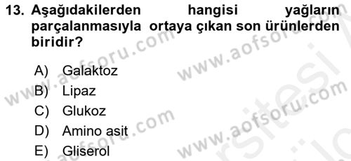 Hayvan Besleme Dersi 2017 - 2018 Yılı 3 Ders Sınav Soruları 13. Soru