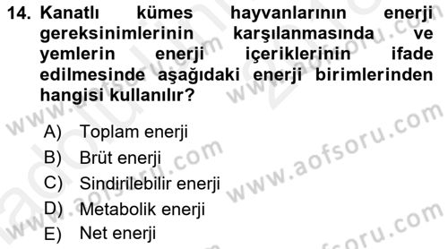 Hayvan Besleme Dersi 2017 - 2018 Yılı 3 Ders Sınav Soruları 14. Soru