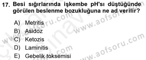 Hayvan Besleme Dersi 2017 - 2018 Yılı 3 Ders Sınav Soruları 17. Soru