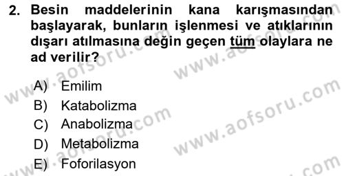 Hayvan Besleme Dersi 2017 - 2018 Yılı 3 Ders Sınav Soruları 2. Soru