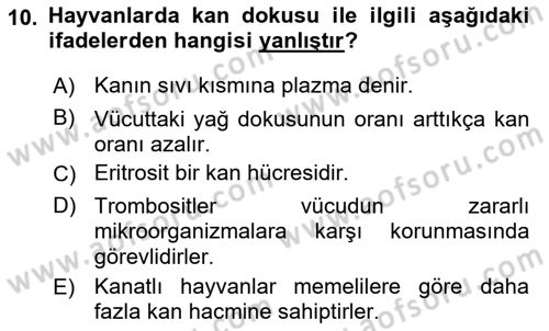 Hayvan Besleme Dersi 2017 - 2018 Yılı (Vize) Ara Sınav Soruları 10. Soru