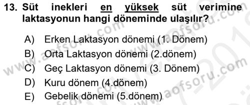 Hayvan Besleme Dersi 2017 - 2018 Yılı (Vize) Ara Sınav Soruları 13. Soru