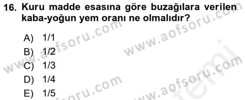 Hayvan Besleme Dersi 2017 - 2018 Yılı (Vize) Ara Sınav Soruları 16. Soru