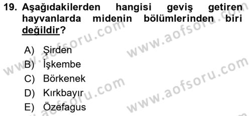 Hayvan Besleme Dersi 2017 - 2018 Yılı (Vize) Ara Sınav Soruları 19. Soru
