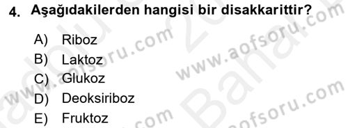 Hayvan Besleme Dersi 2017 - 2018 Yılı (Vize) Ara Sınav Soruları 4. Soru