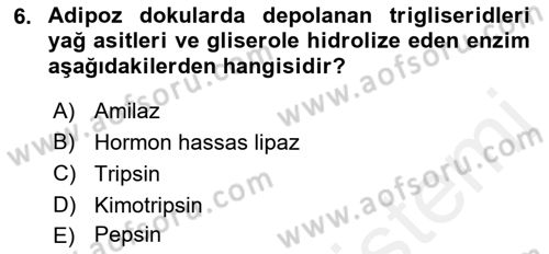 Hayvan Besleme Dersi 2017 - 2018 Yılı (Vize) Ara Sınav Soruları 6. Soru