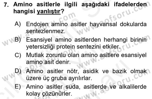 Hayvan Besleme Dersi 2017 - 2018 Yılı (Vize) Ara Sınav Soruları 7. Soru