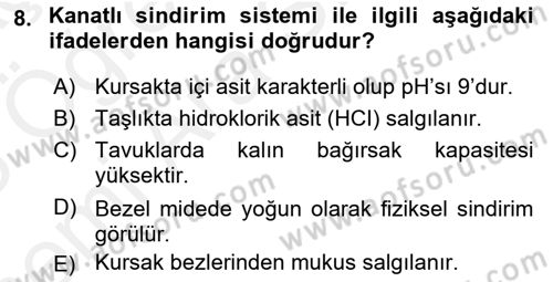 Hayvan Besleme Dersi 2017 - 2018 Yılı (Vize) Ara Sınav Soruları 8. Soru