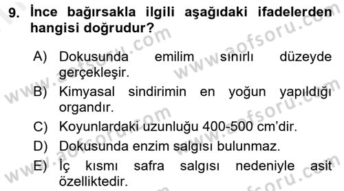 Hayvan Besleme Dersi 2017 - 2018 Yılı (Vize) Ara Sınav Soruları 9. Soru