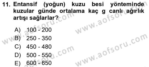 Hayvan Besleme Dersi 2018 - 2019 Yılı 3 Ders Sınav Soruları 11. Soru