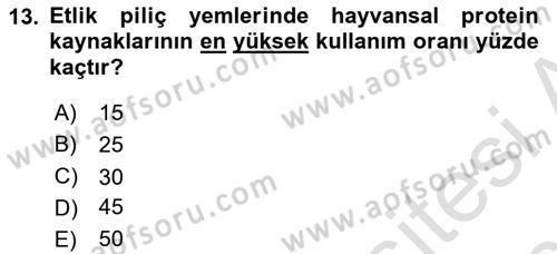 Hayvan Besleme Dersi 2018 - 2019 Yılı 3 Ders Sınav Soruları 13. Soru