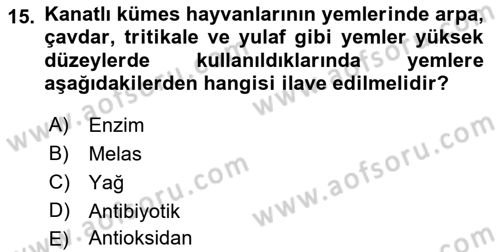 Hayvan Besleme Dersi 2018 - 2019 Yılı 3 Ders Sınav Soruları 15. Soru