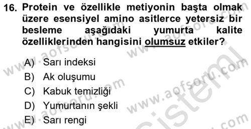 Hayvan Besleme Dersi 2018 - 2019 Yılı 3 Ders Sınav Soruları 16. Soru