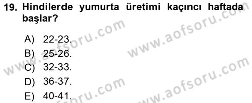 Hayvan Besleme Dersi 2018 - 2019 Yılı 3 Ders Sınav Soruları 19. Soru