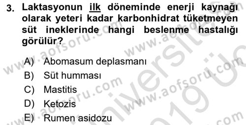 Hayvan Besleme Dersi 2018 - 2019 Yılı 3 Ders Sınav Soruları 3. Soru