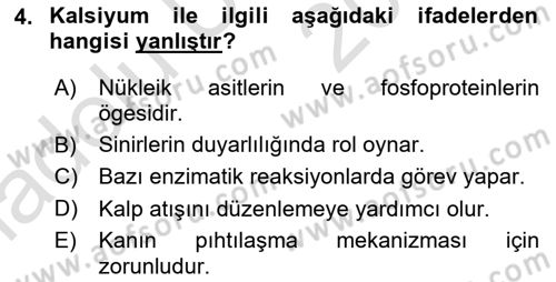 Hayvan Besleme Dersi 2018 - 2019 Yılı 3 Ders Sınav Soruları 4. Soru