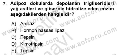 Hayvan Besleme Dersi 2018 - 2019 Yılı 3 Ders Sınav Soruları 7. Soru