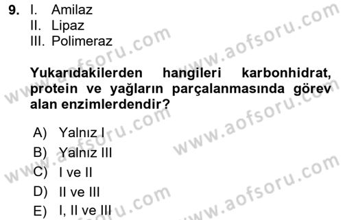 Hayvan Besleme Dersi 2018 - 2019 Yılı 3 Ders Sınav Soruları 9. Soru