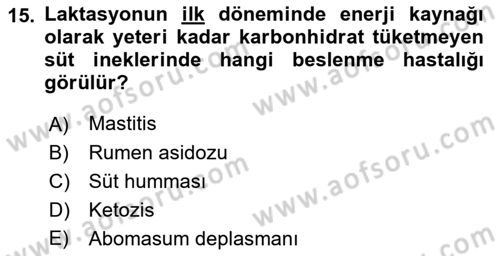 Hayvan Besleme Dersi 2018 - 2019 Yılı (Vize) Ara Sınav Soruları 15. Soru