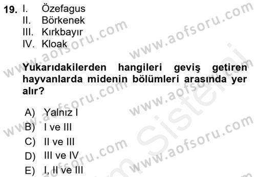 Hayvan Besleme Dersi 2018 - 2019 Yılı (Vize) Ara Sınav Soruları 19. Soru