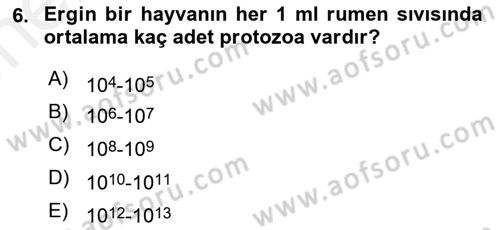 Hayvan Besleme Dersi 2018 - 2019 Yılı (Vize) Ara Sınav Soruları 6. Soru