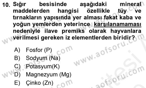 Hayvan Besleme Dersi 2018 - 2019 Yılı (Final) Dönem Sonu Sınav Soruları 10. Soru