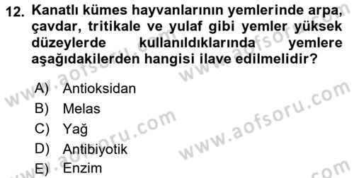 Hayvan Besleme Dersi 2018 - 2019 Yılı (Final) Dönem Sonu Sınav Soruları 12. Soru