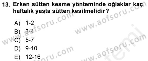 Hayvan Besleme Dersi 2018 - 2019 Yılı (Final) Dönem Sonu Sınav Soruları 13. Soru