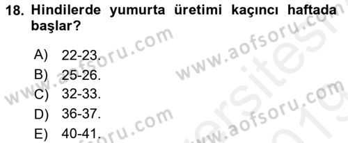 Hayvan Besleme Dersi 2018 - 2019 Yılı (Final) Dönem Sonu Sınav Soruları 18. Soru