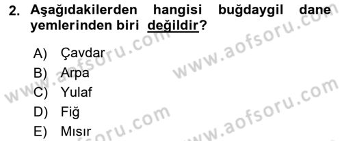 Hayvan Besleme Dersi 2018 - 2019 Yılı (Final) Dönem Sonu Sınav Soruları 2. Soru