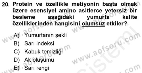 Hayvan Besleme Dersi 2018 - 2019 Yılı (Final) Dönem Sonu Sınav Soruları 20. Soru