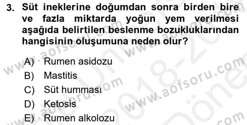 Hayvan Besleme Dersi 2018 - 2019 Yılı (Final) Dönem Sonu Sınav Soruları 3. Soru