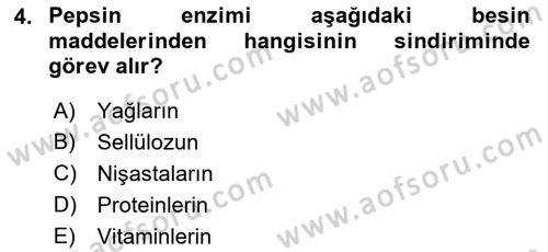 Hayvan Besleme Dersi 2018 - 2019 Yılı (Final) Dönem Sonu Sınav Soruları 4. Soru
