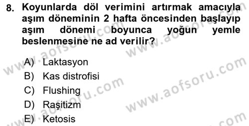 Hayvan Besleme Dersi 2018 - 2019 Yılı (Final) Dönem Sonu Sınav Soruları 8. Soru